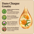 Drainant Lymphatique | Élu Meilleur Produit d'Europe en 2025