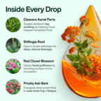 Lymphatic Drainage | Feeling lighter and less swelling in 16 days or less