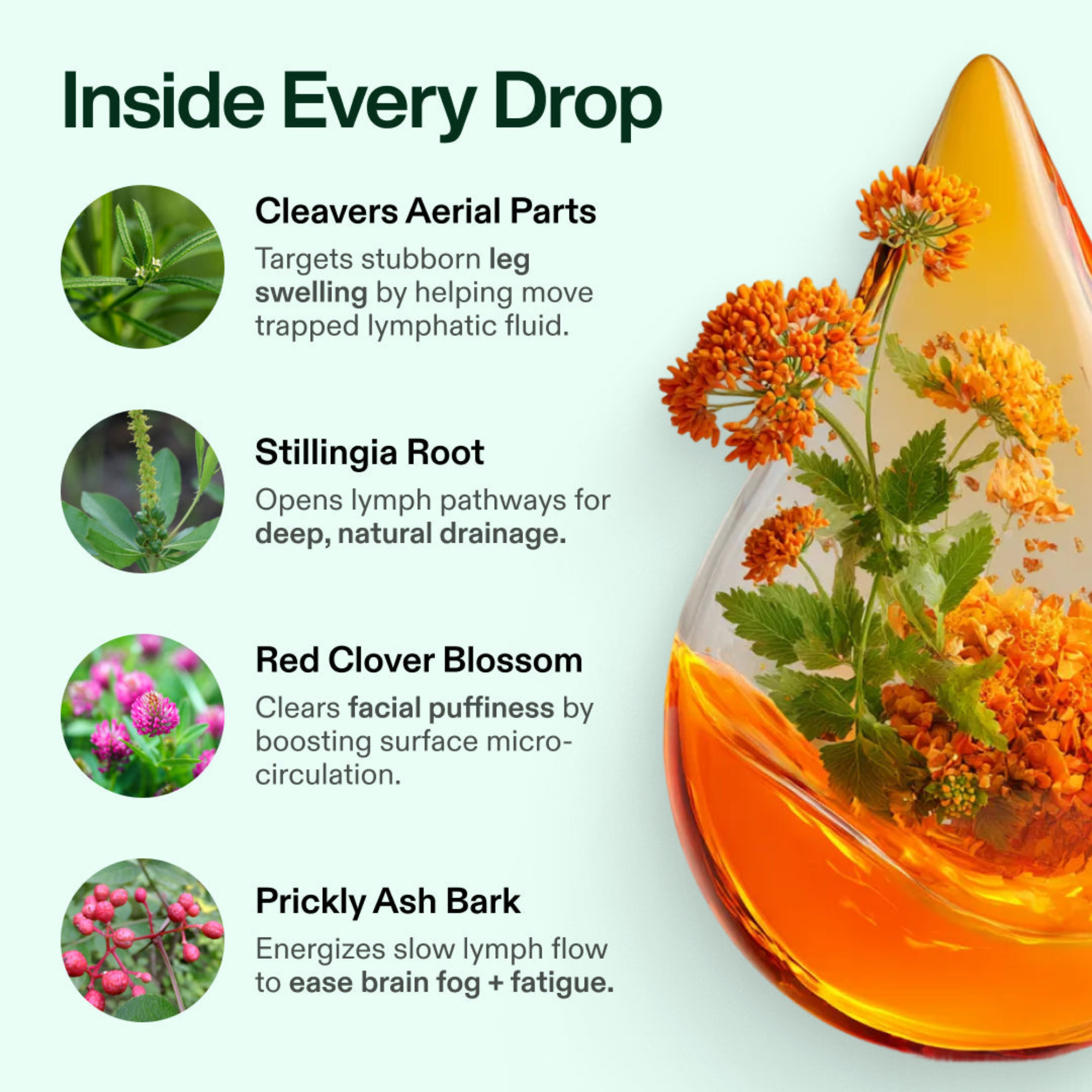 Lymphatic Drainage | Feeling lighter and less swelling in 16 days or less