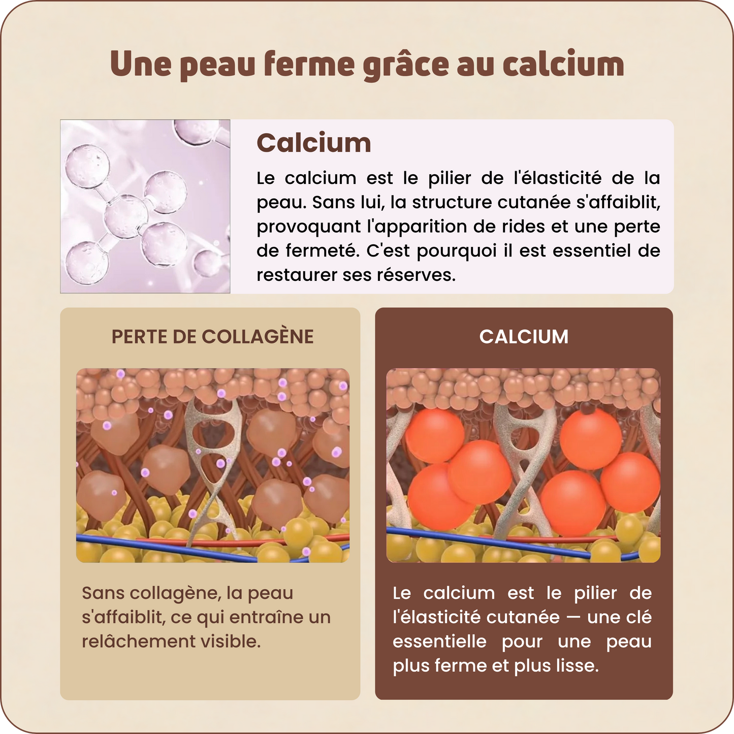 Baume au Calcium | Élu Meilleur Produit Beauté d'Europe
