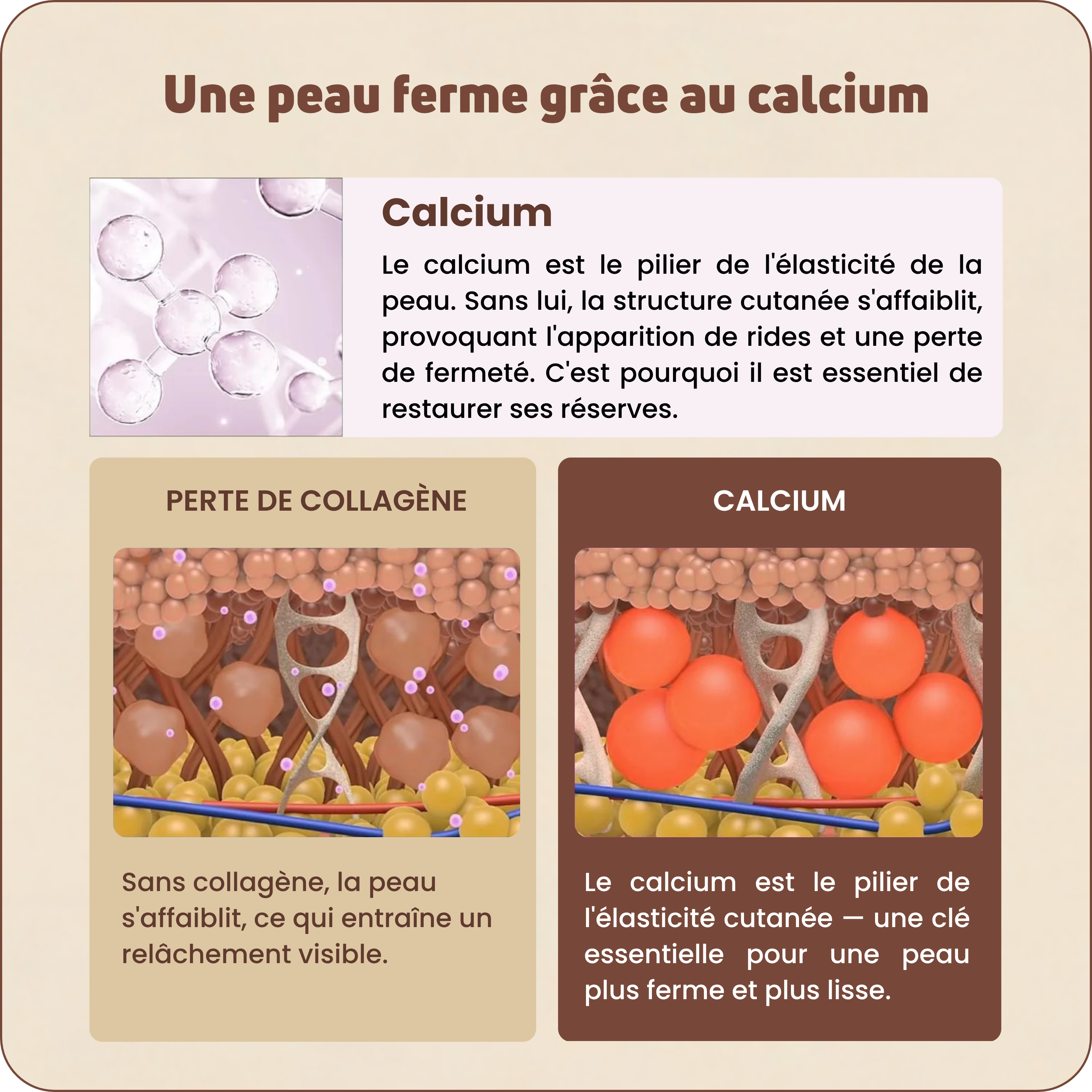 Baume au Calcium | Élu Meilleur Produit Beauté d'Europe