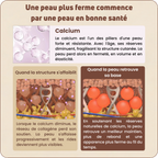 Baume au Calcium | Élu Meilleur Produit Beauté d'Europe