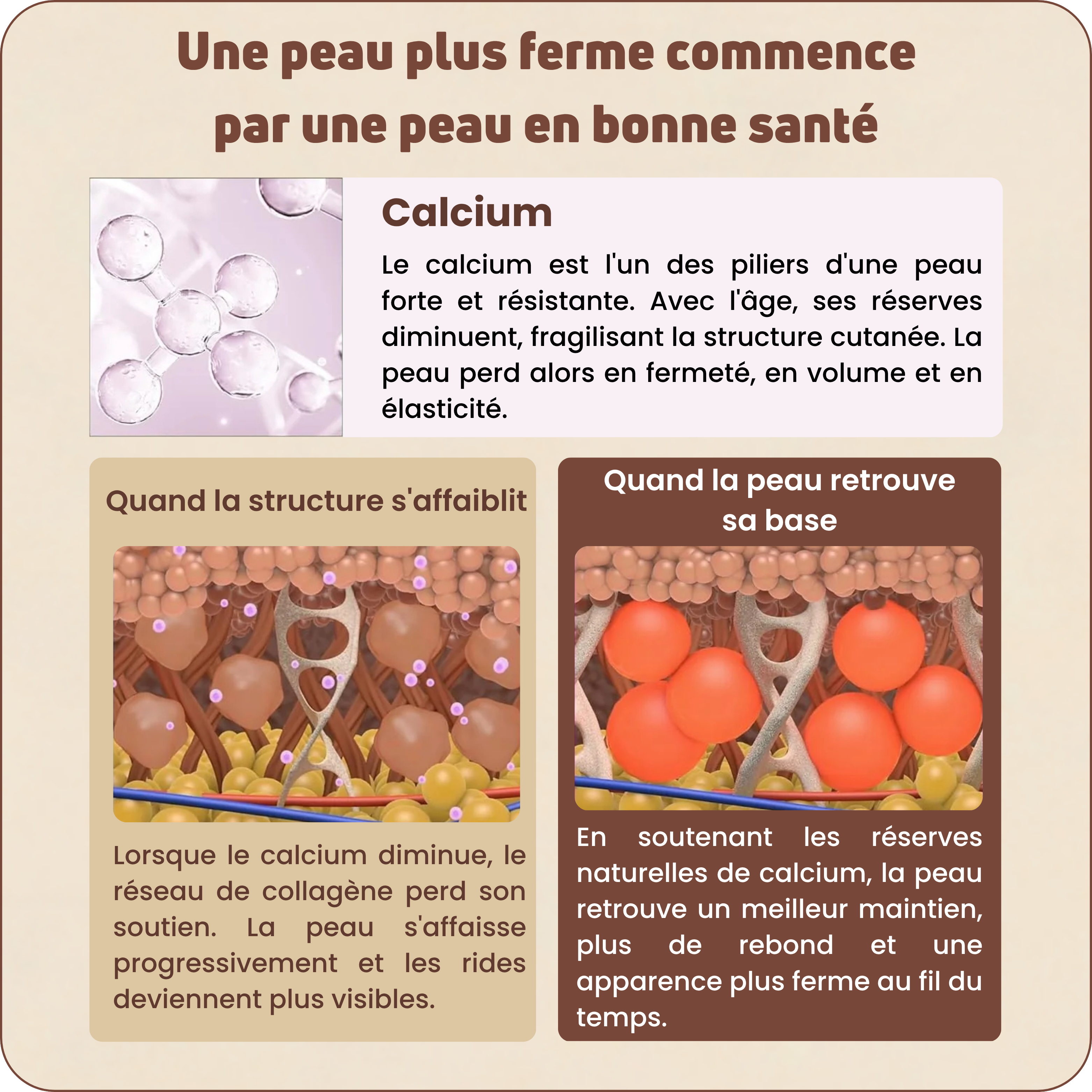 Baume au Calcium | Élu Meilleur Produit Beauté d'Europe
