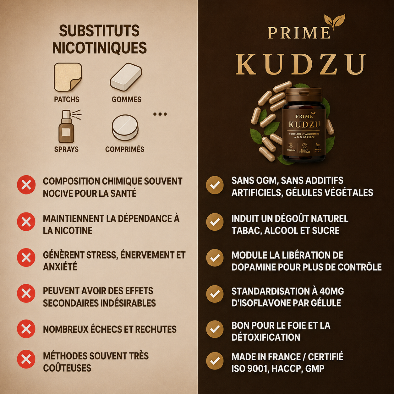 Kudzu 100% naturel | Votre allié contre les envies malsaines du quotidien
