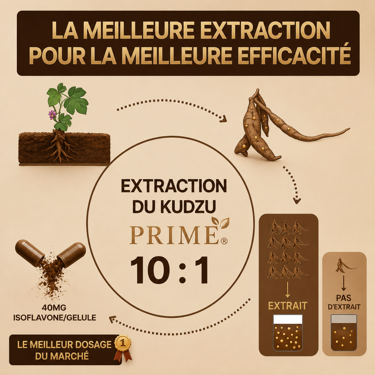 Kudzu 100% naturel | Votre allié contre les envies malsaines du quotidien