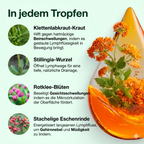 Lymphdrainage | Sich leichter fühlen und weniger Schwellungen in maximal 16 Tagen