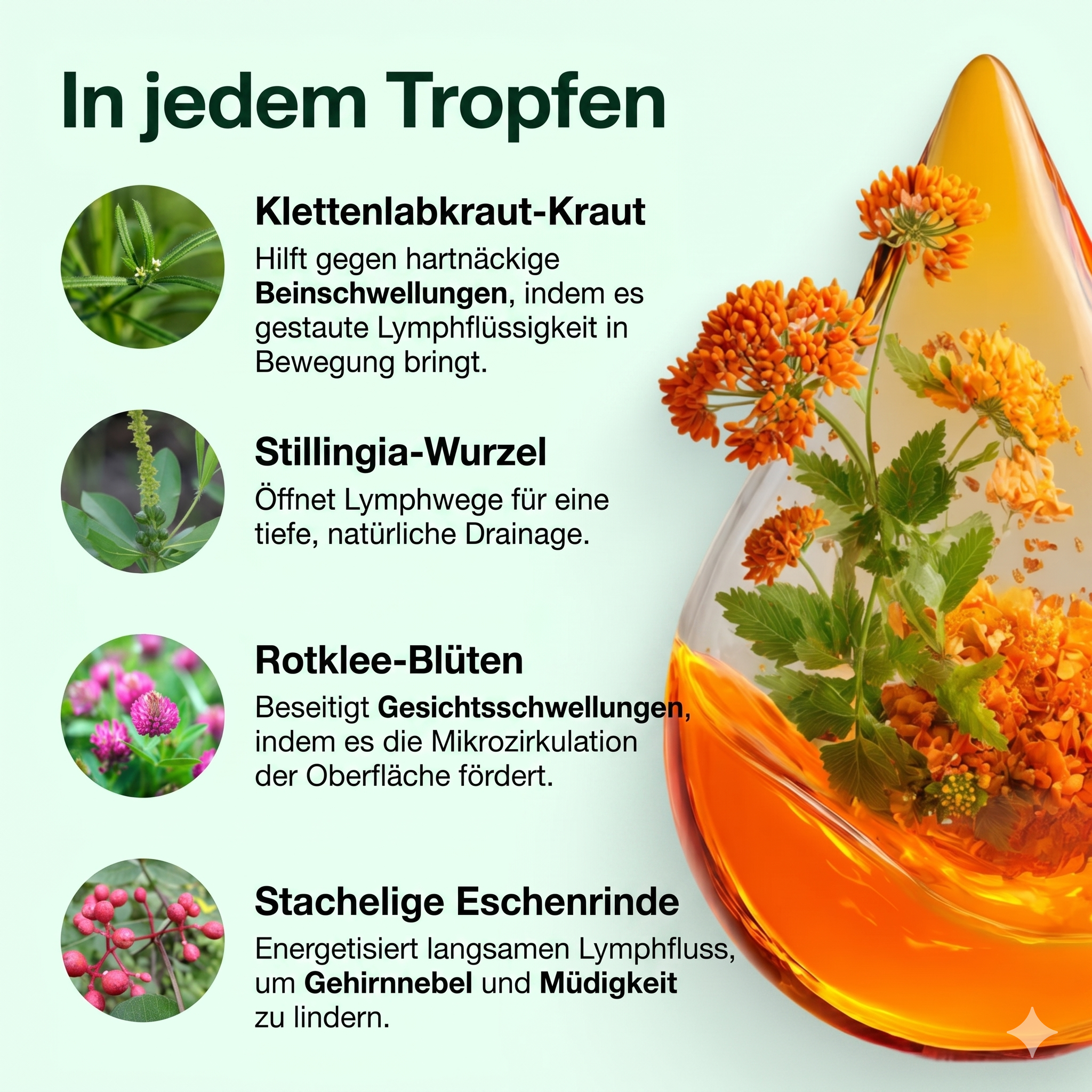 Lymphdrainage | Sich leichter fühlen und weniger Schwellungen in maximal 16 Tagen