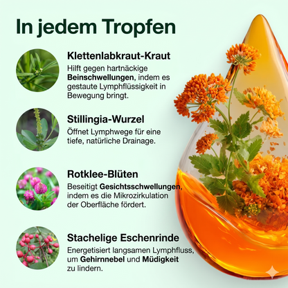 Lymphdrainage | Sich leichter fühlen und weniger Schwellungen in maximal 16 Tagen