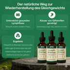 Lymphdrainage | Sich leichter fühlen und weniger Schwellungen in maximal 16 Tagen