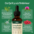 Drainant Lymphatique | Élu Meilleur Produit d'Europe en 2025