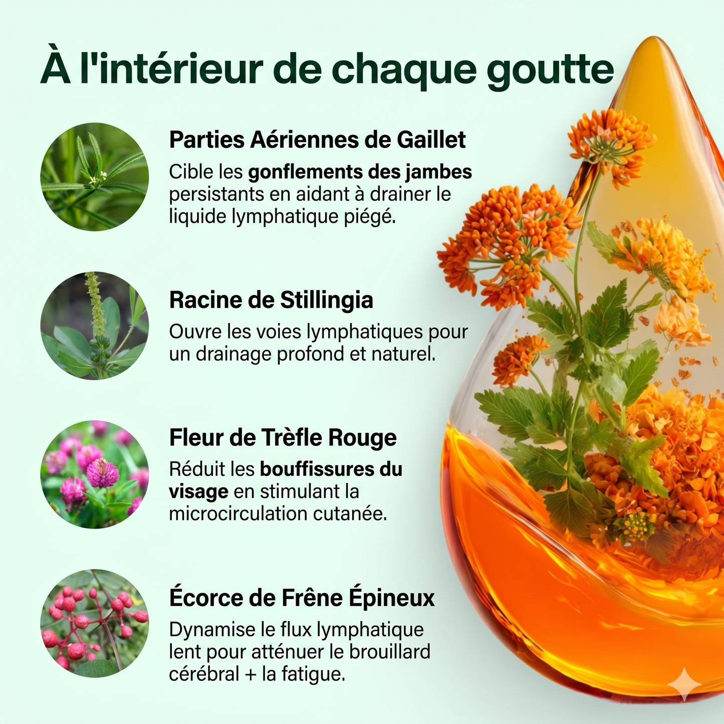 Drainant Lymphatique | Élu Meilleur Produit d'Europe en 2025